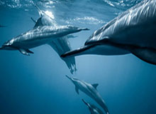 开云-穆帅：孙兴慜凯恩境界超然 成熟热刺拒绝回“常态”